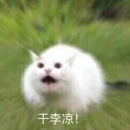 10月21日热门表情包合集来啦