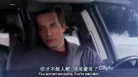 最新上线的台词系列表情包