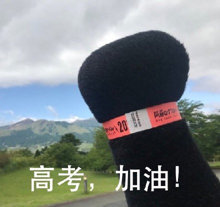 熊本熊拳头表情包合集，斗图必备！