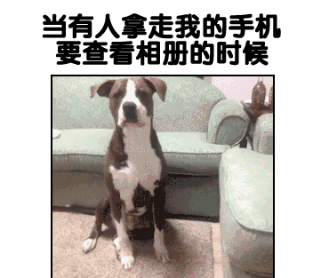 这些日常瞬间的表情包太真实了，最后一个看完直接戳中我