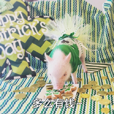 这套警告表情包火了！带降温提醒还自带反差萌