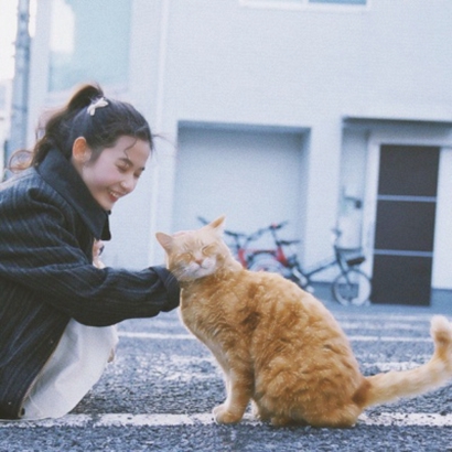 36张无水印女生微信头像 多种风格高清图任你挑