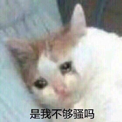 这波喵星人戏精表情包，斗图直接拿捏