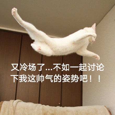 这只帅猫偷偷飘过 还不想让人认出它