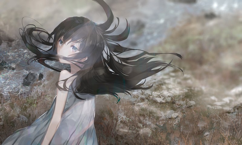 风吹过的二次元少女壁纸