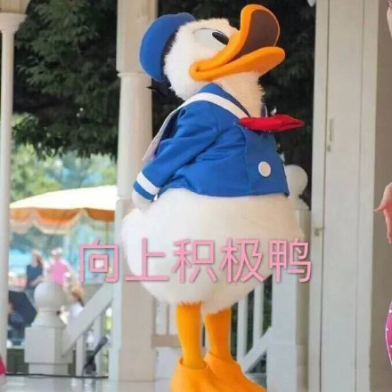 快码住！这套唐老鸭鸭风表情包帮你天天笑口常开