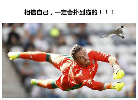 把世界杯换成吸猫现场！这套表情包让斗图秒变撸猫现场