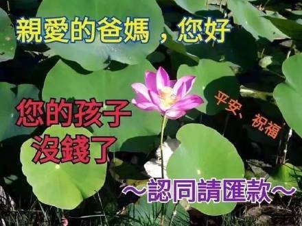 10月18日热门表情包整理合集