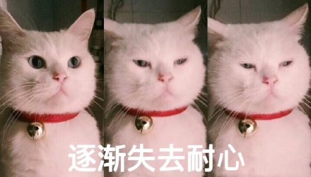 铲屎官集合！软萌猫咪表情包来啦，快一起吸猫