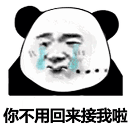 熊猫头傲娇甩人：你不用来接我啦，我现在可是好多人的小宝贝