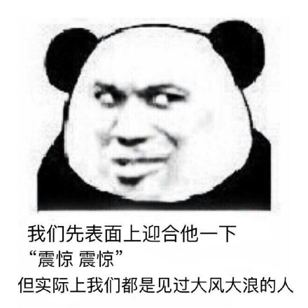 我们先表面上迎合他一下 这套熊猫人装逼表情包火了