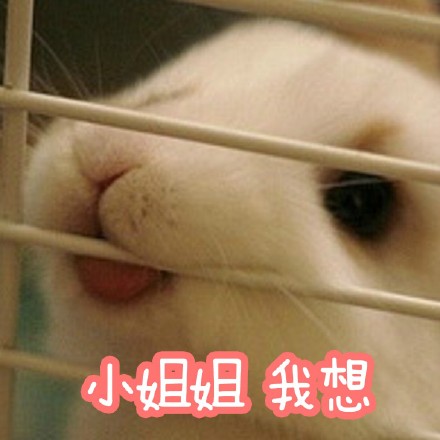 适合仙女用的小兔几表情包来啦