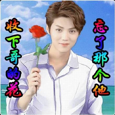 明星土味表情包合集来了