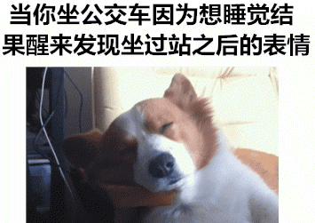 这些日常瞬间的表情包太真实了，最后一个看完直接戳中我