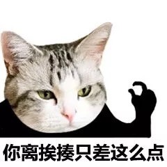 救命！这套猫咪头表情包也太萌了吧
