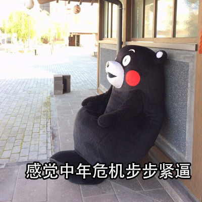你的中年危机表情包来啦