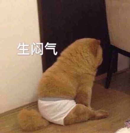 最近超火的无水印萌宠表情包合集