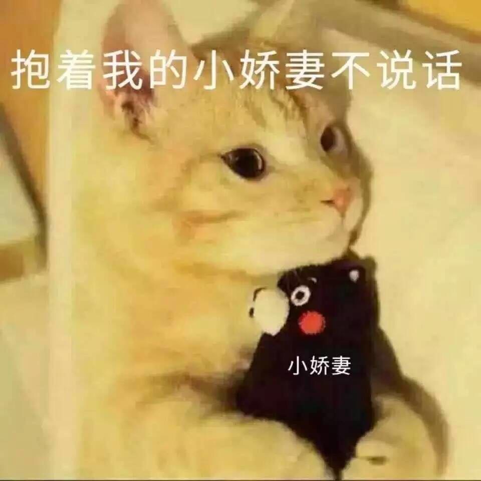 吸猫爱好者集合！这套喵星人表情包太上头了