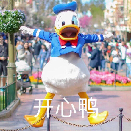 快码住！这套唐老鸭鸭风表情包帮你天天笑口常开