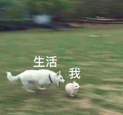 打工人看完直接破防！这套“这就是生活与我”表情包太真实了