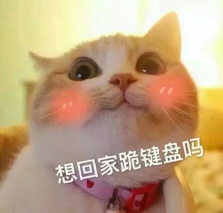 情侣互动表情包：老公，不举高高么