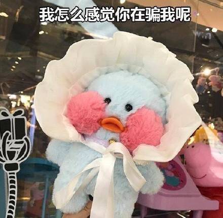 火出圈的玻尿酸鸭表情包来啦