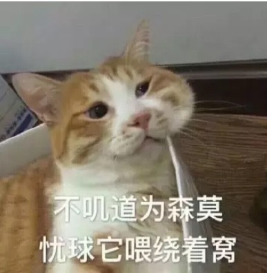 当下超火的无水印表情包合集