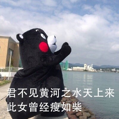 熊本熊版“月半仙女”表情包来啦！