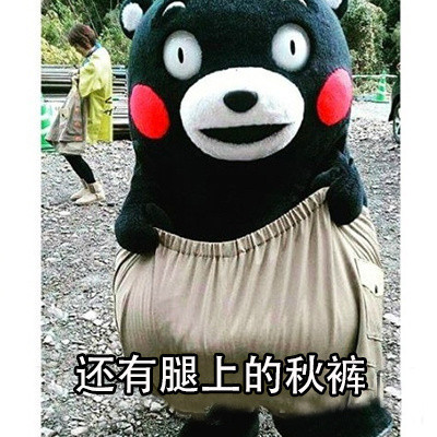 你的中年危机表情包来啦