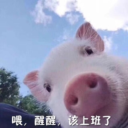 降温天摸鱼必备！这套小猪佩奇起床梗表情包火了