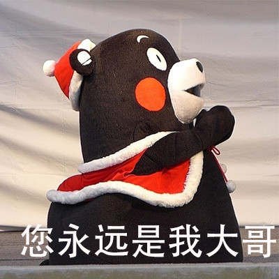 全网超火“大哥，请受我一拜”熊本熊表情包合集