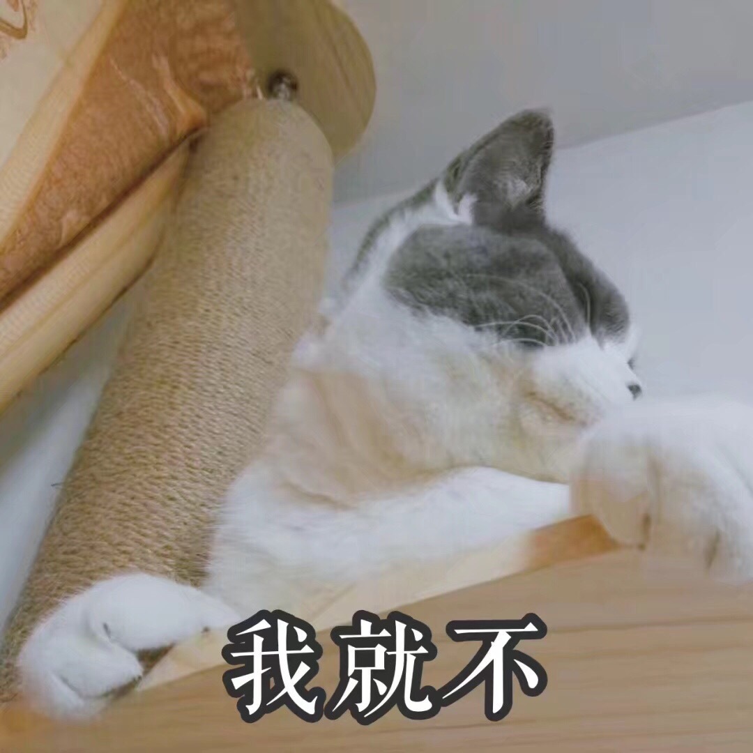 存好这套猫咪表情包，开启你的吸猫斗图之旅