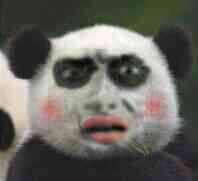 超实用恶搞熊猫头表情包合集