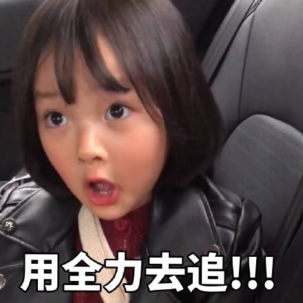 超火戏精权律二表情包合集