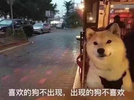 七夕单身狗专属表情包，戳中你的心巴