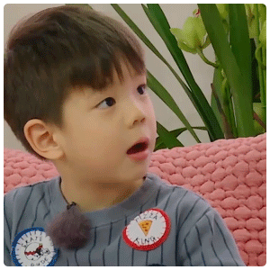 嗯哼大王杜宇麒动图表情包合集
