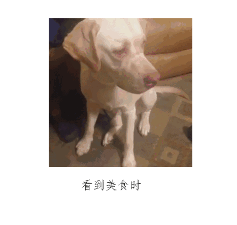 这套表情包也太真实了吧！