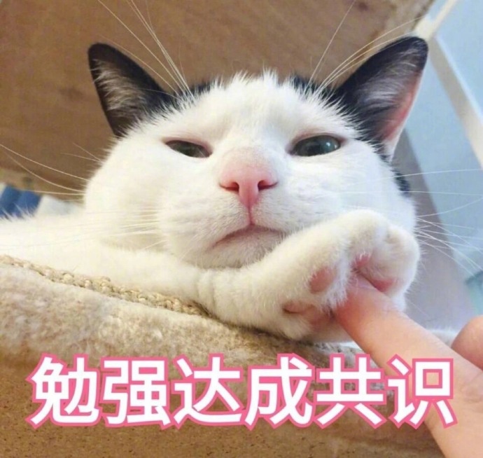 谁懂啊！这套猫咪表情包真的看一次爱一次