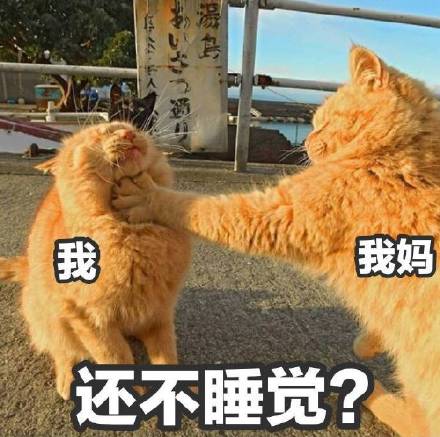 放假宅家被妈妈念叨的日常表情包