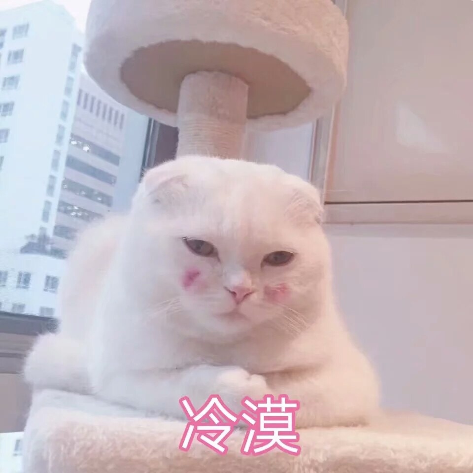 谁懂啊！这组软fufu的猫咪表情包太治愈了