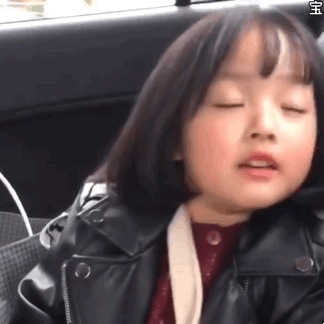 权律二实用动图表情包合集