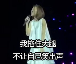 戴佩妮歌迷唱《怎样》翻车名场面表情包合集