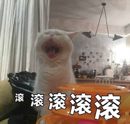“我没有不开心”的喵咪丧气表情包来啦