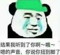 流泪熊猫头绿帽整活包，全程一路绿到底