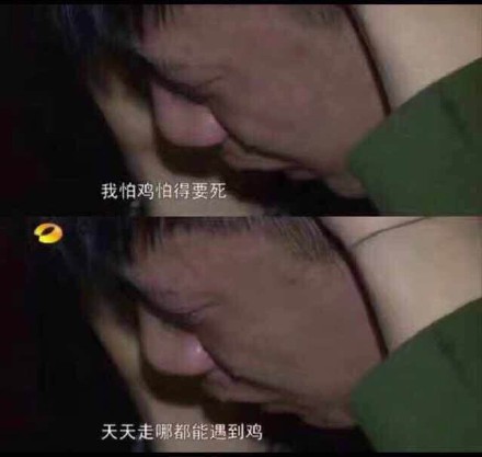 3月26日斗图表情包原图精选合集