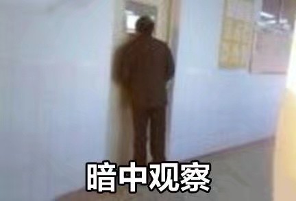 偷偷围观必备！这套暗中观察表情包太好用了