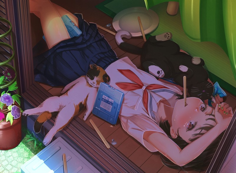 动漫壁纸合集：脸红黑发少女夏日睡颜