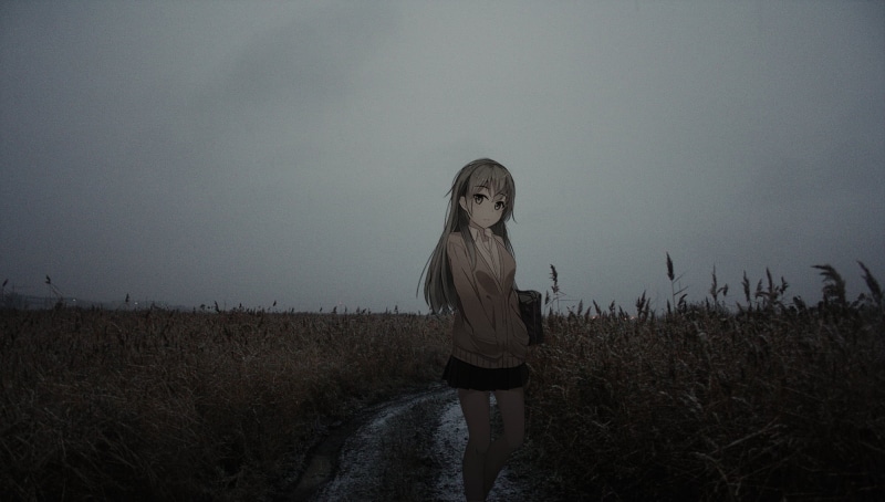 三张氛围感拉满的二次元真人化壁纸合集