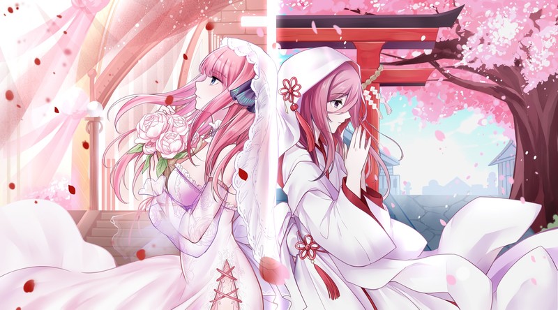 五等分的花嫁 樱花下的婚纱美少女壁纸