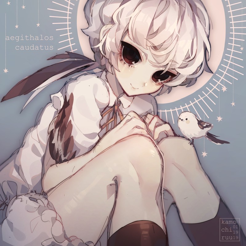 动漫少女与飞鸟高清壁纸